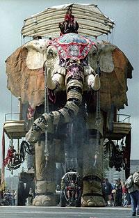 Sultans Elephant
