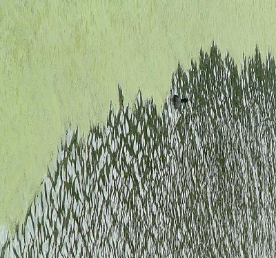 Water company profits Water company profits