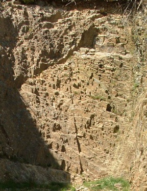 DSCF0225-2