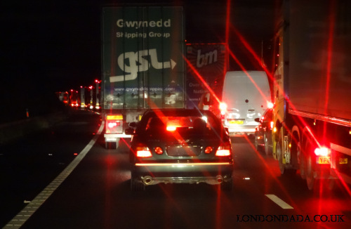 The Christmas Lights